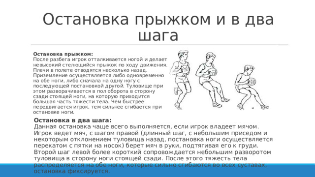 Шаг назад 3. Остановка шагом и прыжком. Шаг назад для разбега. Шаг назад только для разбега. Передвижение с остановками прыжком конспект.