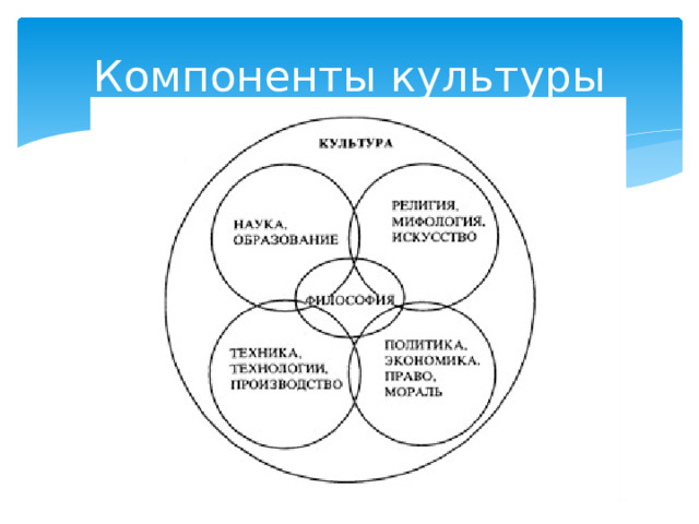 Компоненты культуры 