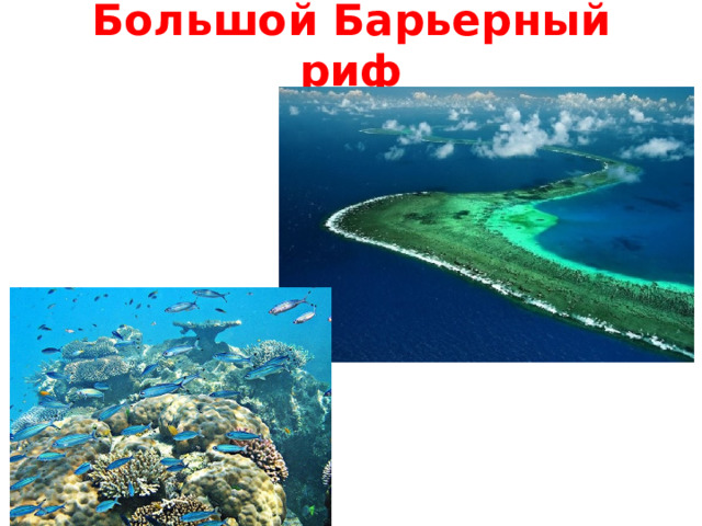 Большой Барьерный риф 