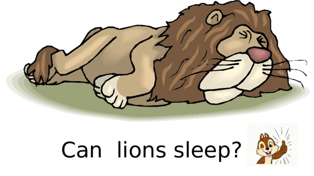 A lion sleep during the day