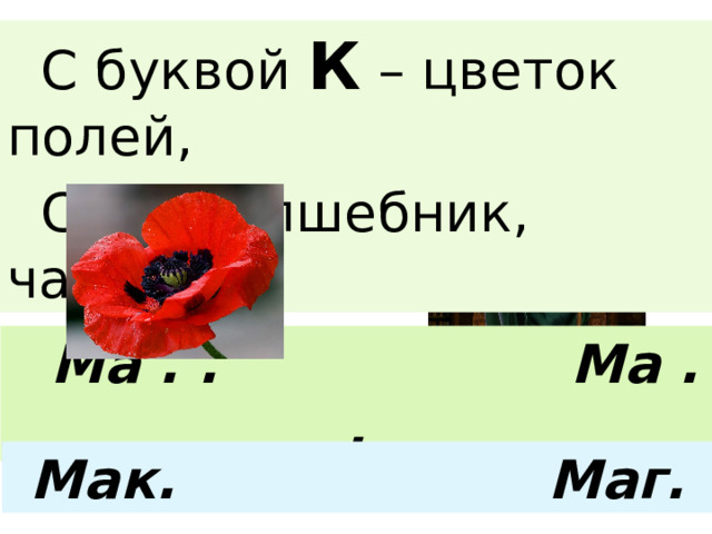  С буквой К – цветок полей,  С Г – волшебник, чародей.  Ма . . Ма . . Мак. Маг. 