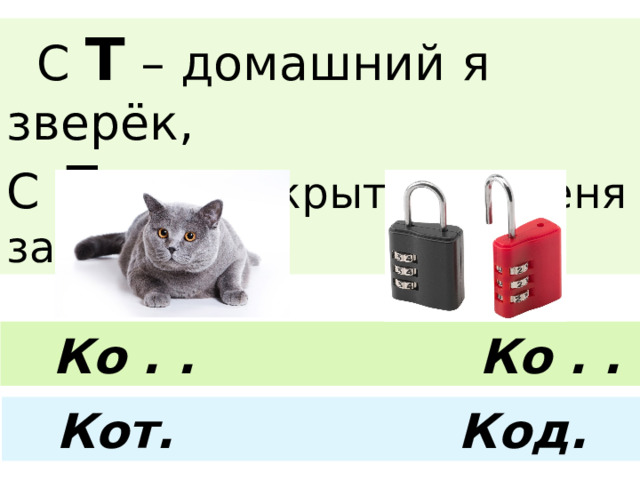  С Т – домашний я зверёк, С Д  – не открыть без меня замок.  Ко . . Ко . . Кот. Код. 