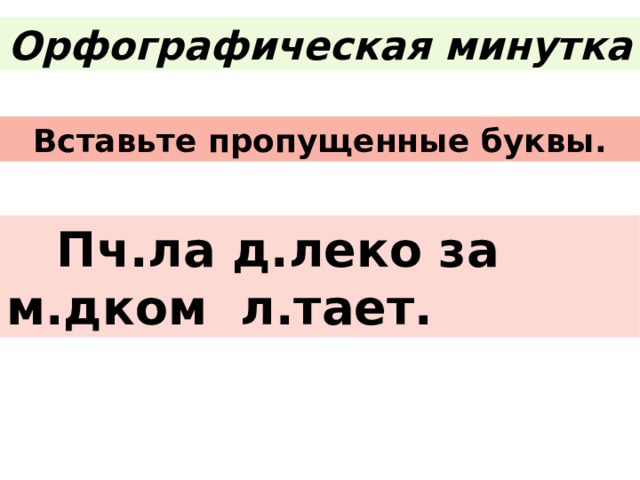 Орфографическая минутка Вставьте пропущенные буквы.  Пч.ла д.леко за м.дком л.тает. 