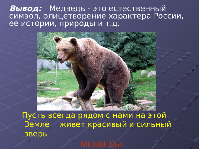 Вывод: Медведь - это естественный символ, олицетворение характера России, ее истории, природы и т.д.  Пусть всегда рядом с нами на этой Земле живет красивый и сильный зверь –  МЕДВЕДЬ! 