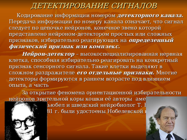 ДЕТЕКТИРОВАНИЕ СИГНАЛОВ  Кодирование информации номером детекторного канала. Передача информации по номеру канала означает, что сигнал следует по цепочке нейронов, конечное звено которой представлено нейроном-детектором простых или сложных признаков, избирательно реагирующих на определенный физический признак или комплекс.  Нейрон-детектор – высокоспециализированная нервная клетка, способная избирательно реагировать на конкретный признак сенсорного сигнала. Такие клетки выделяют в сложном раздражителе его отдельные признаки. Многие детекторы формируются в раннем возрасте под влиянием опыта, а часть  За открытие феномена ориентационной избирательности нейронов зрительной коры кошки её авторы американский физиолог Д. Хьюбел и шведский нейробиолог Т. Визель (1924г.р) в 1981 г. были удостоены Нобелевской премии. 