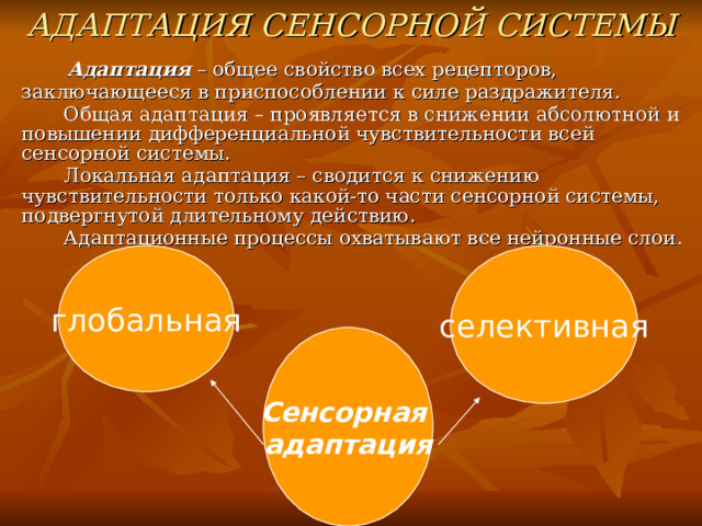 АДАПТАЦИЯ СЕНСОРНОЙ СИСТЕМЫ   Адаптация – общее свойство всех рецепторов, заключающееся в приспособлении к силе раздражителя.  Общая адаптация – проявляется в снижении абсолютной и повышении дифференциальной чувствительности всей сенсорной системы.  Локальная адаптация – сводится к снижению чувствительности только какой-то части сенсорной системы, подвергнутой длительному действию.  Адаптационные процессы охватывают все нейронные слои. глобальная селективная Сенсорная адаптация 