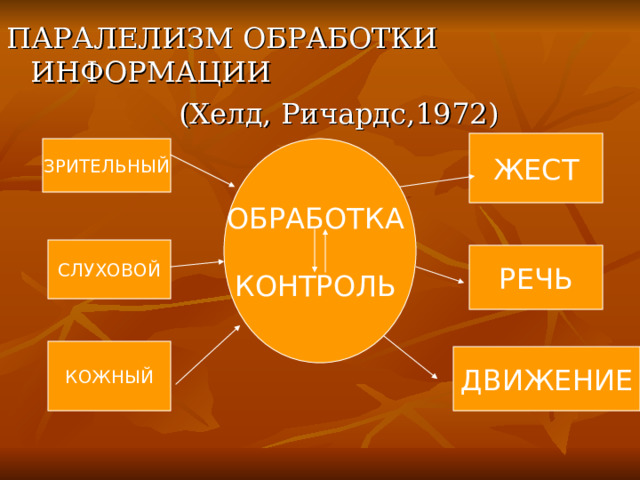 ПАРАЛЕЛИЗМ ОБРАБОТКИ ИНФОРМАЦИИ  (Хелд, Ричардс,1972) ЖЕСТ ОБРАБОТКА КОНТРОЛЬ ЗРИТЕЛЬНЫЙ СЛУХОВОЙ РЕЧЬ КОЖНЫЙ ДВИЖЕНИЕ 