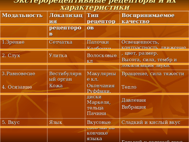 Экстерорецептивные рецепторы и их характеристики Модальность Локализация рецепторов 1.Зрение 2. Слух Тип рецепторов Сетчатка Улитка 3.Равновесие 4. Осязание Воспринимаемое качество 5. Вкус 6. Обоняние Палочки Колбочки Волосковые кл Вестибулярный орган Кожа Язык Обонятельный эпителий в носу Макулярные кл. Окончания Руффини, диски Маркеля, тельца Пачини Освещенность, контрастность ,движение, цвет, размер. Высота, сила, тембр и локализация звука. Вращение, сила тяжести Тепло Давления Вибрация Вкусовые сосочки на кончике языка И основания языка. Обонятельные рецепторы Сладкий и кислый вкус Горький и соленый вкус Цветочный, фруктовый, мускусный, пикантные запахи 