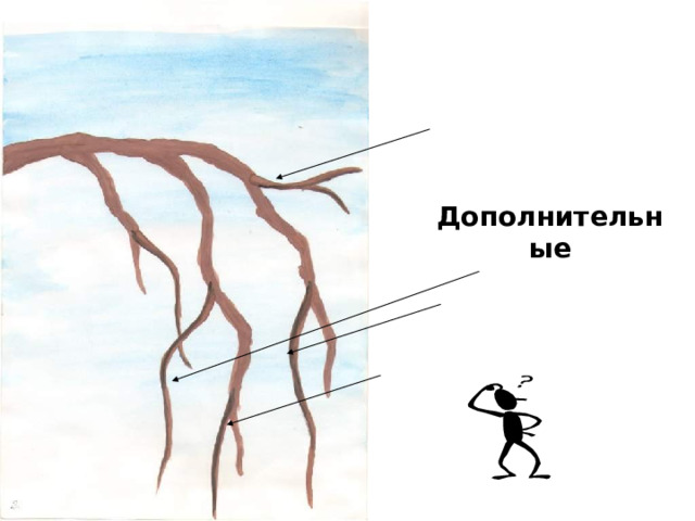 Дополнительные 