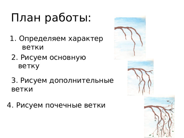План работы: 1. Определяем характер ветки 2. Рисуем основную ветку 3. Рисуем дополнительные ветки 4. Рисуем почечные ветки 