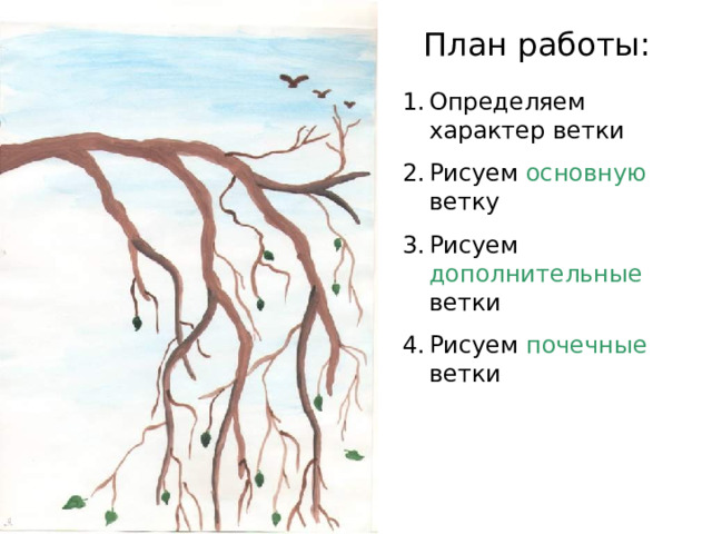 План работы: Определяем характер ветки Рисуем основную ветку Рисуем дополнительные ветки Рисуем почечные ветки 