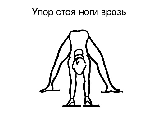 Днем на 4 ногах. Упор стоя ноги врозь. Упор стоя. Упор стоя согнувшись. Упор стоя на коленях.