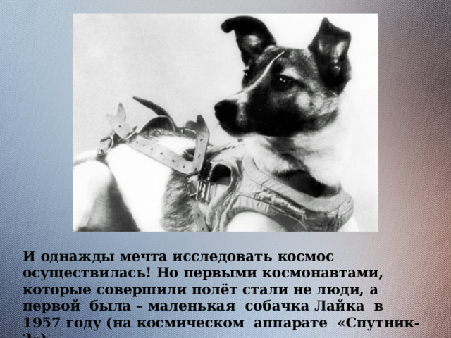 И однажды мечта исследовать космос осуществилась! Но первыми космонавтами, которые совершили полёт стали не люди, а первой была – маленькая собачка Лайка в 1957 году (на космическом аппарате «Спутник-2»).  