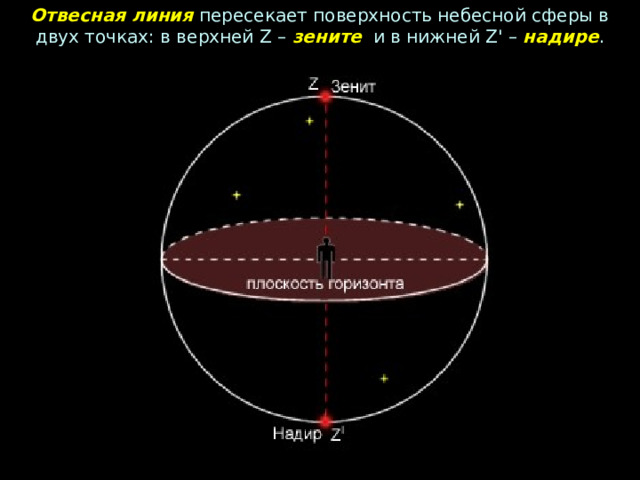 Отвесная линия пересекает поверхность небесной сферы в двух точках: в верхней Z – зените и в нижней Z' – надире . 