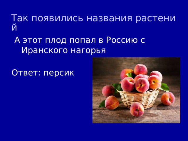 Так появились названия растений А этот плод попал в Россию с Иранского нагорья Ответ: персик 