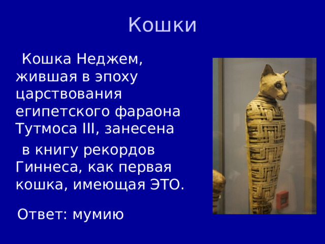 Кошки  Кошка Неджем, жившая в эпоху царствования египетского фараона Тутмоса III, занесена  в книгу рекордов Гиннеса, как первая кошка, имеющая ЭТО. Ответ: мумию 