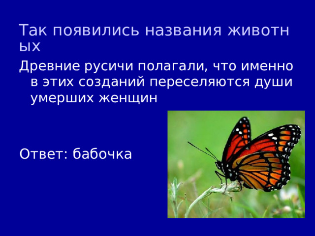 Так появились названия животных Древние русичи полагали, что именно в этих созданий переселяются души умерших женщин Ответ: бабочка 