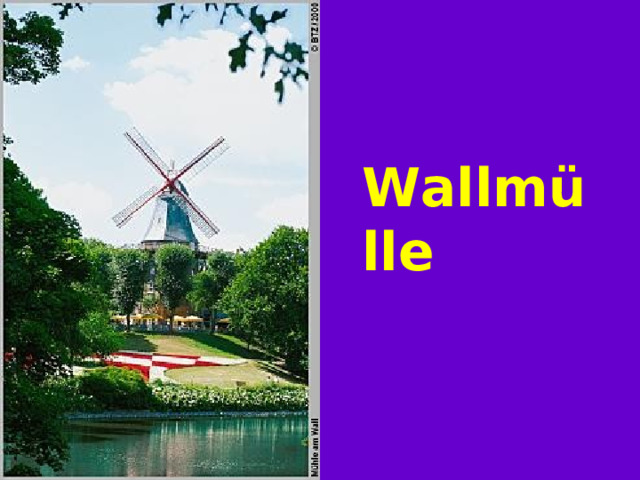 Wallm ülle 