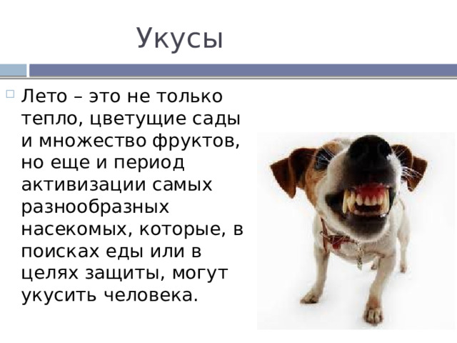 Укусы Лето – это не только тепло, цветущие сады и множество фруктов, но еще и период активизации самых разнообразных насекомых, которые, в поисках еды или в целях защиты, могут укусить человека. 