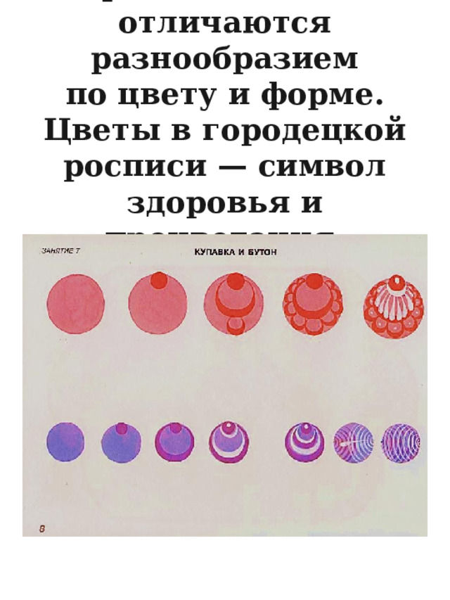    Городецкие цветы отличаются разнообразием  по цвету и форме.  Цветы в городецкой росписи — символ здоровья и процветания.   
