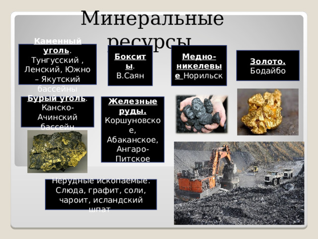 Рыбные ресурсы каменный уголь. Канско Ачинский бассейн. Ленский Южно Якутский. Канско Ачинский ресурсы.