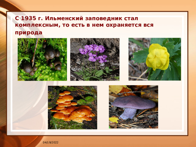 С 1935 г. Ильменский заповедник стал комплексным, то есть в нем охраняется вся природа . 04/19/2022 