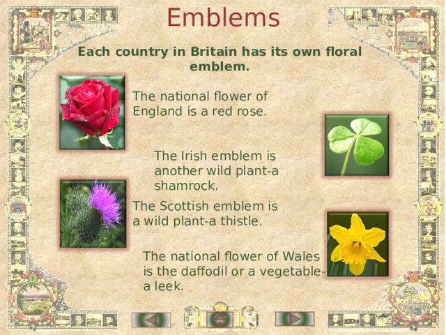 Emblems Each country in Britain has its own floral emblem. The national flower of England is a red rose. The Irish emblem is another wild plant-a shamrock. The Scottish emblem is a wild plant-a thistle. The national flower of Wales is the daffodil or a vegetable-a leek. 