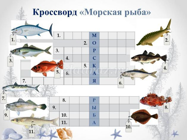 Проект по теме рыбалка