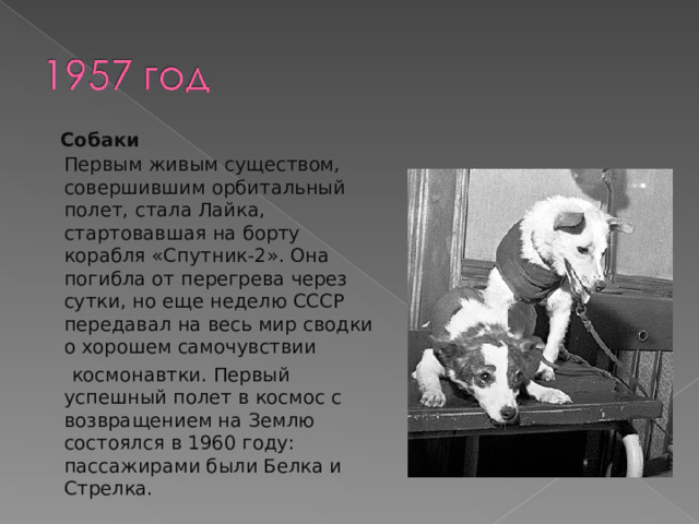  Собаки  Первым живым существом, совершившим орбитальный полет, стала Лайка, стартовавшая на борту корабля «Спутник-2». Она погибла от перегрева через сутки, но еще неделю СССР передавал на весь мир сводки о хорошем самочувствии   космонавтки. Первый успешный полет в космос с возвращением на Землю состоялся в 1960 году: пассажирами были Белка и Стрелка. 
