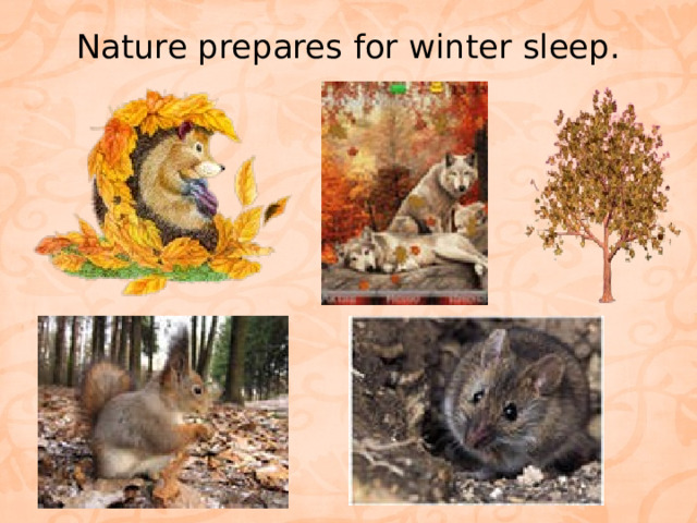 Nature prepares for winter sleep.   