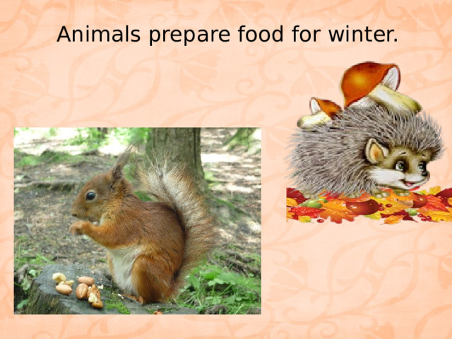 Animals prepare food for winter.   