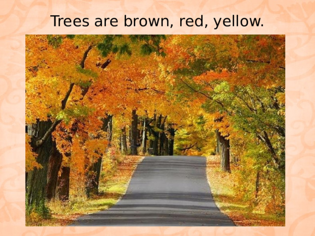 Trees are brown, red, yellow.   