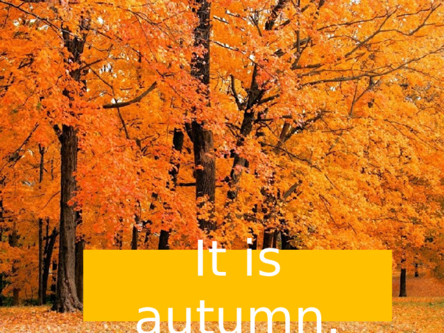 It is autumn. 