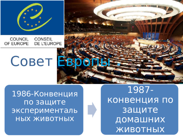 Совет Европы 1987- конвенция по защите домашних животных 1986-Конвенция по защите экспериментальных животных 