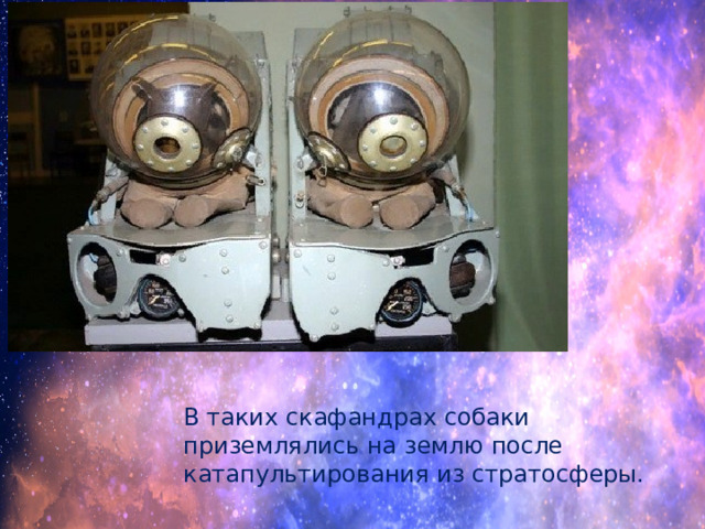 В таких скафандрах собаки приземлялись на землю после катапультирования из стратосферы. 