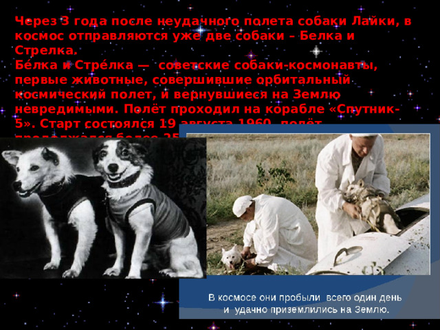 Через 3 года после неудачного полета собаки Лайки, в космос отправляются уже две собаки – Белка и Стрелка.  Бе́лка и Стре́лка —  советские собаки-космонавты, первые животные, совершившие орбитальный космический полет, и вернувшиеся на Землю невредимыми. Полёт проходил на корабле «Спутник-5». Старт состоялся 19 августа 1960, полёт продолжался более 25 часов, за это время корабль совершил 17 полных витков вокруг Земли.    
