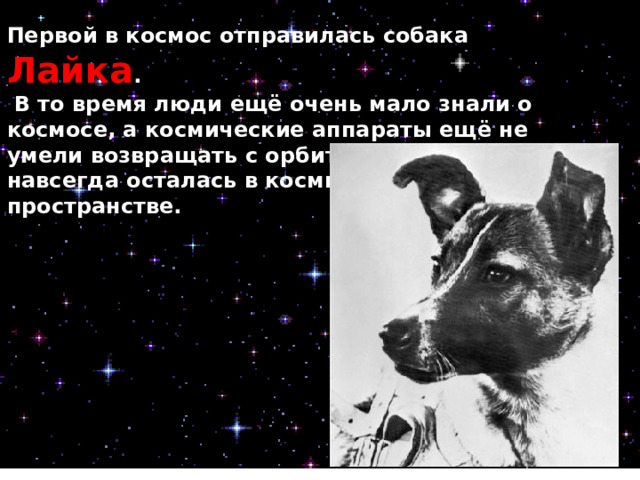 Первой в космос отправилась собака Лайка .  В то время люди ещё очень мало знали о космосе, а космические аппараты ещё не умели возвращать с орбиты. Поэтому Лайка навсегда осталась в космическом пространстве.  