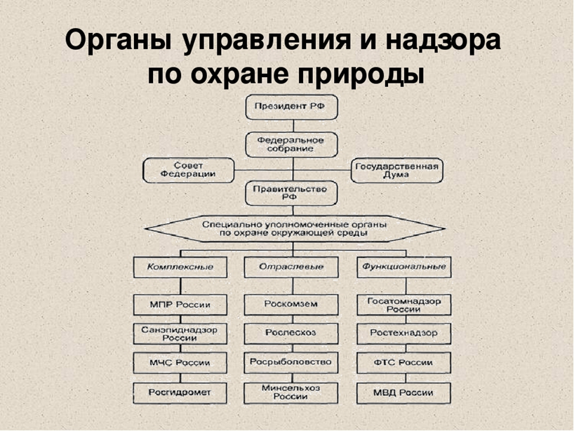 Структура управление охраной окружающей среды. Схема органов управления и надзора по охране природы. Органы управления и надзора по охране природы их цели и задачи. Функции и задачи органов надзора по охране природы. Органы управления контроля и надзора по охране окружающей среды.