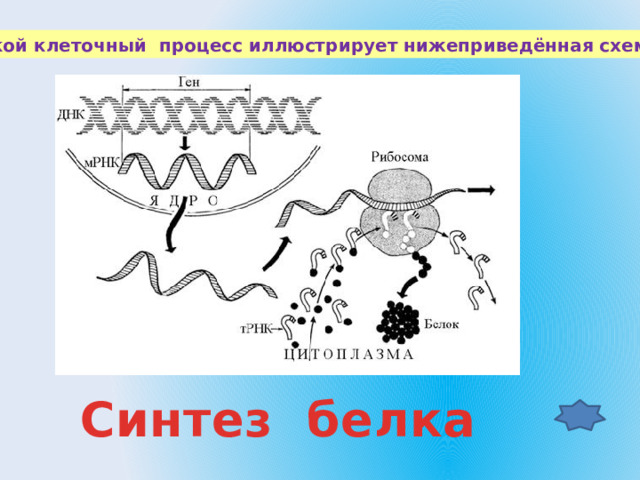 Рисунок иллюстрирует процесс