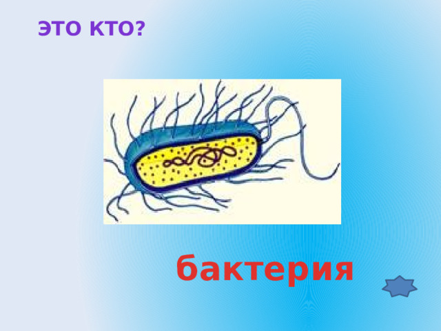  ЭТО кто?  бактерия 