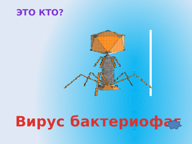  ЭТО кто?  Вирус бактериофаг 