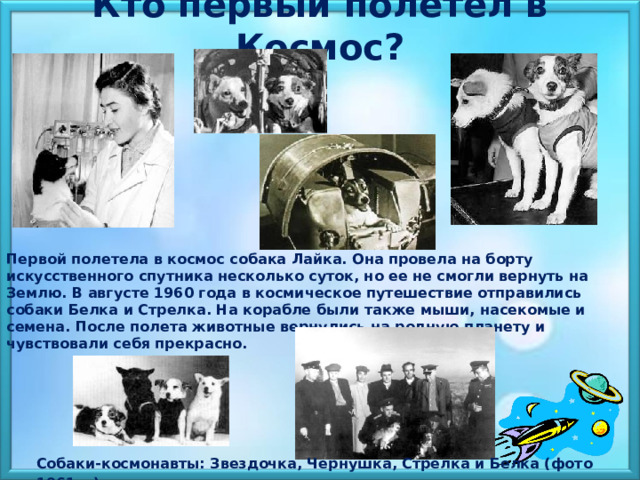  Кто первый полетел в Космос? Первой полетела в космос собака Лайка. Она провела на борту искусственного спутника несколько суток, но ее не смогли вернуть на Землю. В августе 1960 года в космическое путешествие отправились собаки Белка и Стрелка. На корабле были также мыши, насекомые и семена. После полета животные вернулись на родную планету и чувствовали себя прекрасно. Собаки-космонавты: Звездочка, Чернушка, Стрелка и Белка (фото 1961 г.).  
