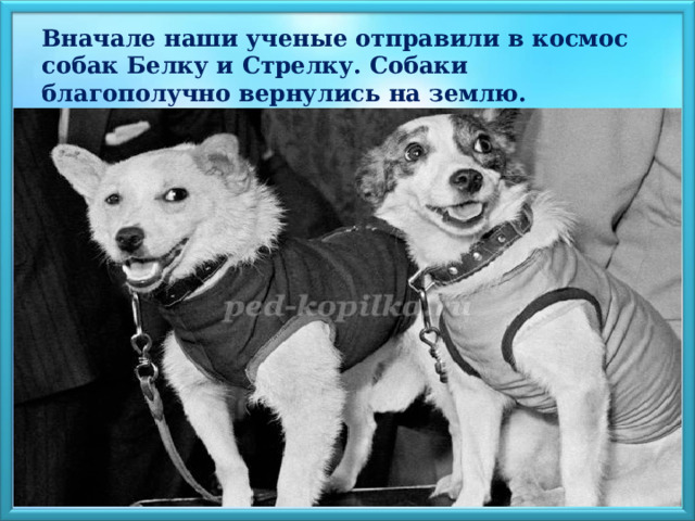 Вначале наши ученые отправили в космос собак Белку и Стрелку. Собаки благополучно вернулись на землю.  
