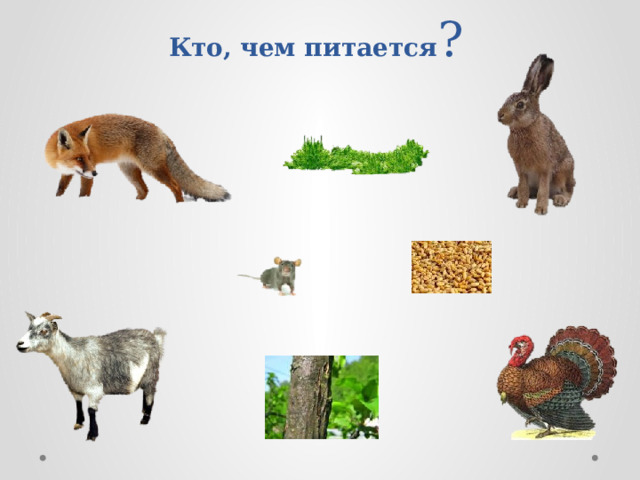 Интерактивная игра домашние животные презентация