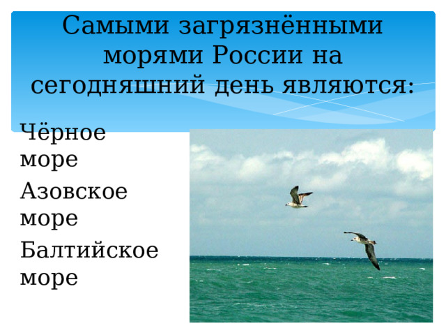 Самыми загрязнёнными морями России на сегодняшний день являются: Чёрное море Азовское море Балтийское море 