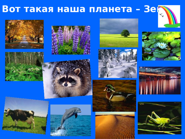 Вот такая наша планета – Земля.  