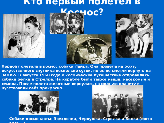 Кто первый полетел в Космос? Первой полетела в космос собака Лайка. Она провела на борту искусственного спутника несколько суток, но ее не смогли вернуть на Землю. В августе 1960 года в космическое путешествие отправились собаки Белка и Стрелка. На корабле были также мыши, насекомые и семена. После полета животные вернулись на родную планету и чувствовали себя прекрасно. Собаки-космонавты: Звездочка, Чернушка, Стрелка и Белка (фото 1961 г.).   