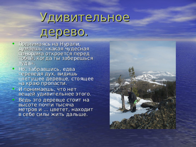 Поднимаясь на Нурали , думаешь: «какая чудесная панорама откроется перед тобой , когда ты заберешься туда». Но , забравшись , едва переведя дух , видишь цветущее деревце , стоящее на краю пропасти. И понимаешь , что нет вещей удивительнее этого. Ведь это деревце стоит на высоте почти тысяча метров и … цветет , находит в себе силы жить дальше. 