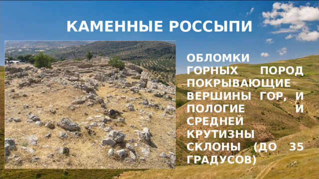 КАМЕННЫЕ РОССЫПИ ОБЛОМКИ ГОРНЫХ ПОРОД ПОКРЫВАЮЩИЕ ВЕРШИНЫ ГОР, И ПОЛОГИЕ И СРЕДНЕЙ КРУТИЗНЫ СКЛОНЫ (ДО 35 ГРАДУСОВ) 