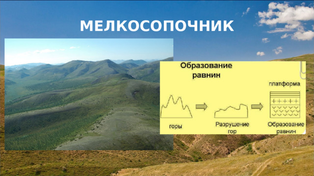 МЕЛКОСОПОЧНИК 